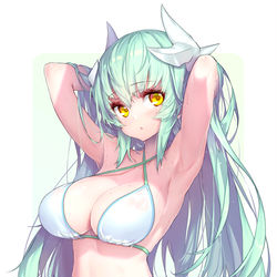 This is a pixiv picture whose title is 清姫(水着).