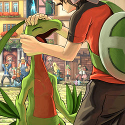 This is a pixiv picture whose title is パートナーへ….