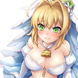 This is a pixiv picture whose title is 下着ネロブライド.