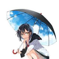 This is a pixiv picture whose title is ネコとサカナ.
