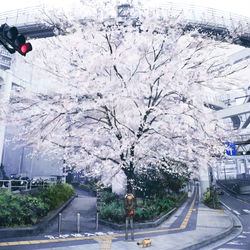 This is a pixiv picture whose title is 移る季節.