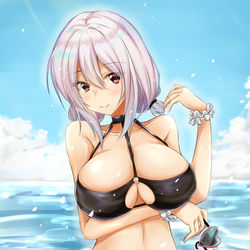 This is a pixiv picture whose title is シリアスの水着.