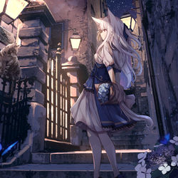 This is a pixiv picture whose title is 夜と花と蝶たち.