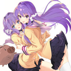 This is a pixiv picture whose title is 藤林姉妹（とボタン.