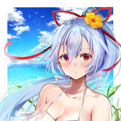 This is a pixiv picture whose title is 今年の夏はインフェルノさんと海デートしたい.