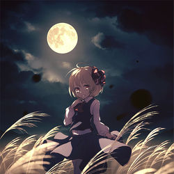 This is a pixiv picture whose title is 芒に月.