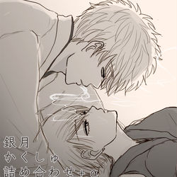 This is a pixiv picture whose title is 銀月かくしゅ詰め合わせ+α.