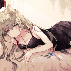 This is a pixiv picture whose title is ねこ聖女さま.
