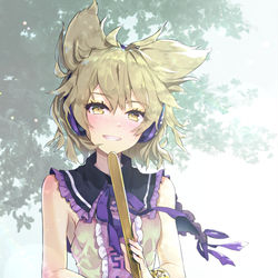 This is a pixiv picture whose title is 貴女への憧憬.