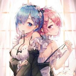 This is a pixiv picture whose title is レム&ラム.