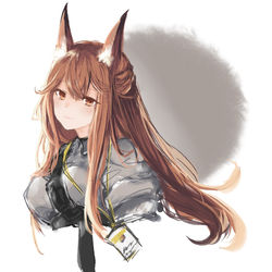 This is a pixiv picture whose title is Arknights.
