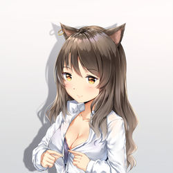 This is a pixiv picture whose title is SkyFire.