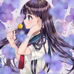 This is a pixiv picture whose title is 紫陽花.