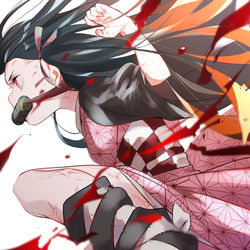 This is a pixiv picture whose title is 鬼の妹.
