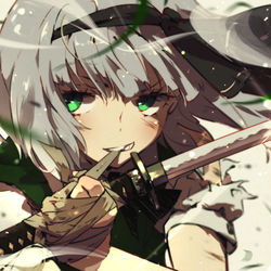 This is a pixiv picture whose title is 魂魄妖夢.