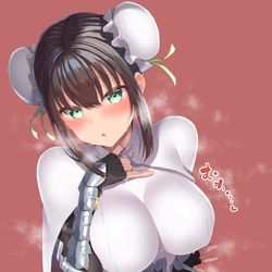 This is a pixiv picture whose title is 汗かき秦良玉.