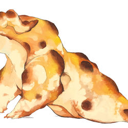 This is a pixiv picture whose title is ドラゴンまとめ12.