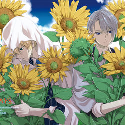 This is a pixiv picture whose title is 【7月閃華】新刊サンプル.