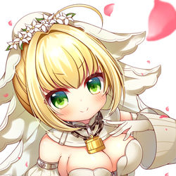 This is a pixiv picture whose title is 嫁ネロ！.