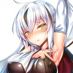 This is a pixiv picture whose title is Advance On (V2).