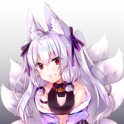 This is a pixiv picture whose title is 九尾星奈.