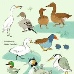 This is a pixiv picture whose title is 水鳥ワールド.