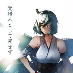 This is a pixiv picture whose title is 【C96①】貴婦人として死せず書籍版.