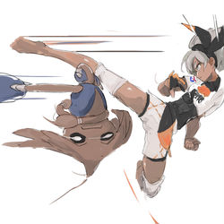 This is a pixiv picture whose title is まわしげり.