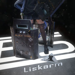 This is a pixiv picture whose title is Liskarm's shield.