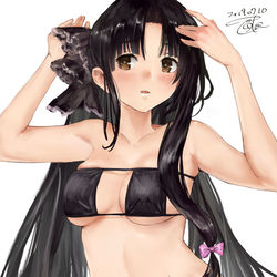 This is a pixiv picture whose title is 祥鳳.