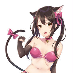 This is a pixiv picture whose title is 押忍にゃん.