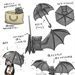 This is a pixiv picture whose title is かさこうもり.