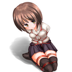 This is a pixiv picture whose title is 信頼.