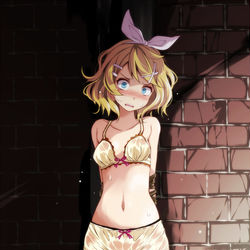 This is a pixiv picture whose title is リンちゃん.