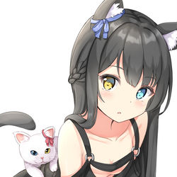 This is a pixiv picture whose title is うちのねこさま.