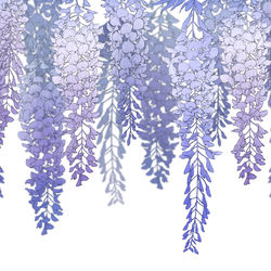 This is a pixiv picture whose title is 藤の花.
