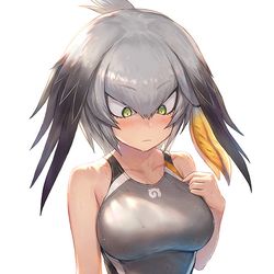 This is a pixiv picture whose title is 競泳水着ハシビロコウ.