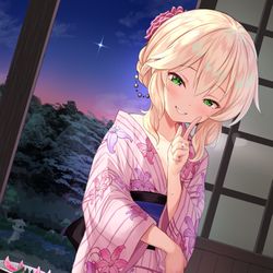 This is a pixiv picture whose title is 明星.