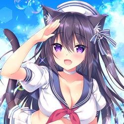 This is a pixiv picture whose title is ぴかぴかsummer*.