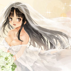This is a pixiv picture whose title is 祥鳳.