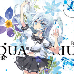 This is a pixiv picture whose title is ヴェールヌイTシャツ.