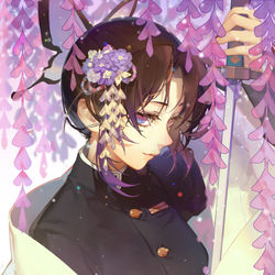 This is a pixiv picture whose title is Shinobu.
