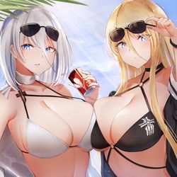 This is a pixiv picture whose title is 鉄血姉妹水着.
