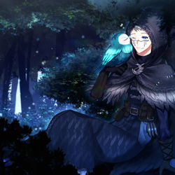 This is a pixiv picture whose title is 夜行の森.