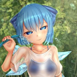 This is a pixiv picture whose title is スク水チルノ.