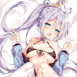 This is a pixiv picture whose title is C96ポネキ.