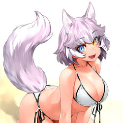 This is a pixiv picture whose title is 水着イエイヌ.