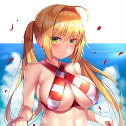This is a pixiv picture whose title is ネロちゃま.