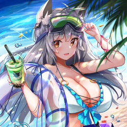 This is a pixiv picture whose title is C96表紙絵.