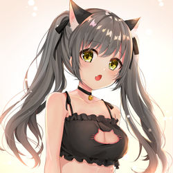 This is a pixiv picture whose title is ねこランジェリー.